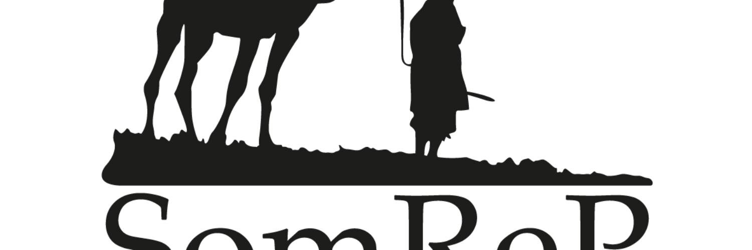 somrep's profile banner image