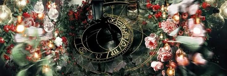 columbinay's profile banner image