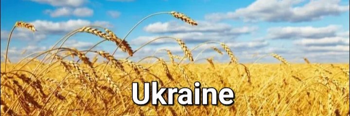 iq collection banner