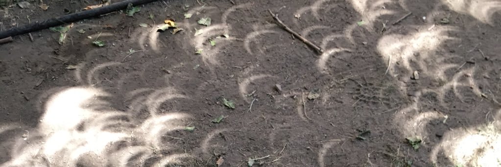 stalecoffee's profile banner image