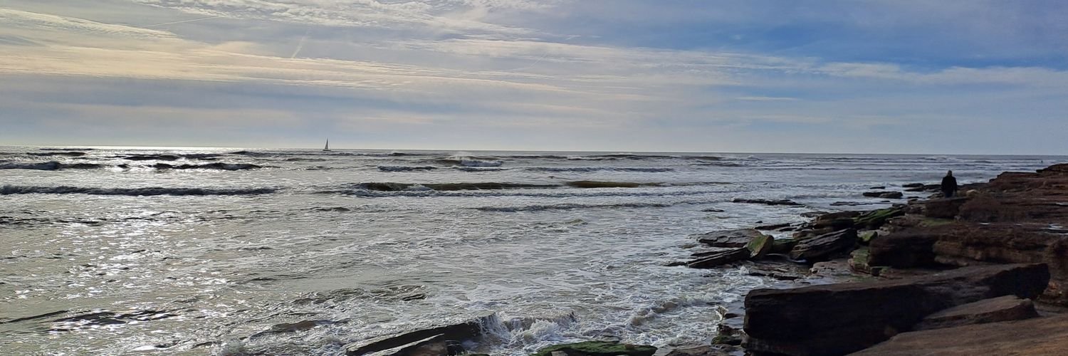 AlexTourneux's profile banner image