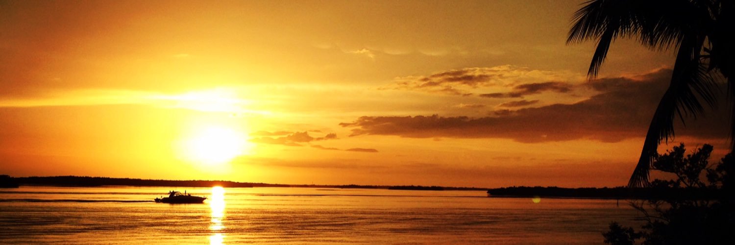 MikeyD282's profile banner image