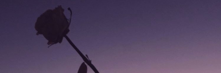 cavilo22's profile banner image