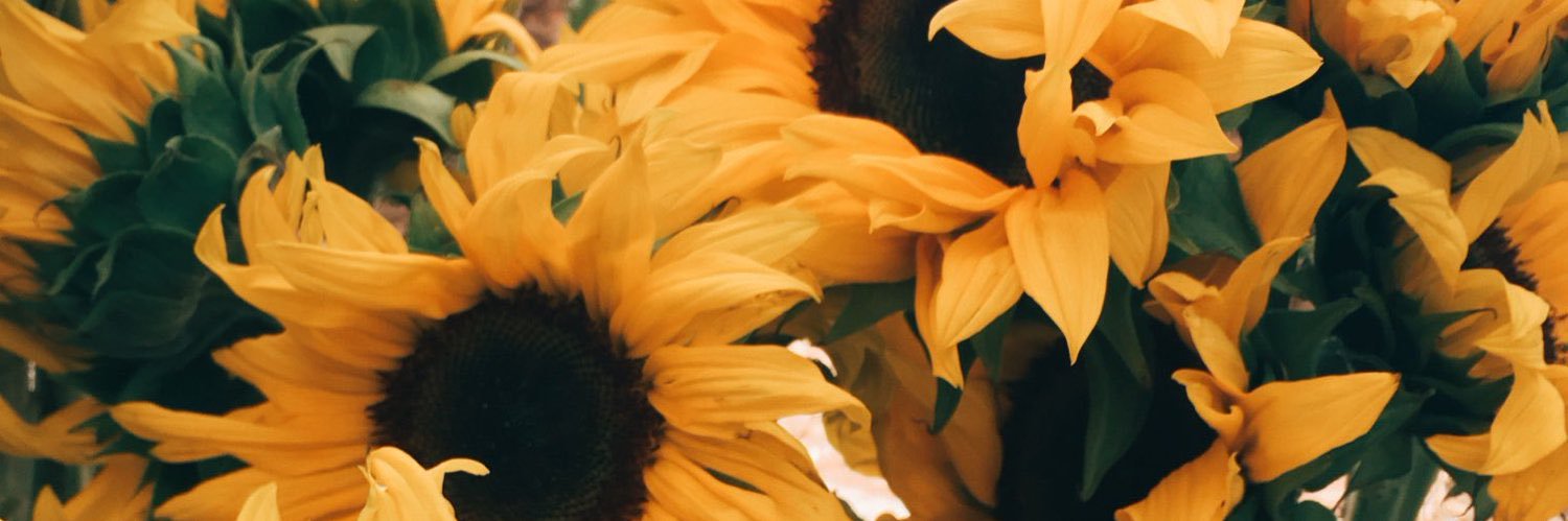 MsDaijaBoo's profile banner image
