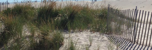 fenscompass Profile Banner