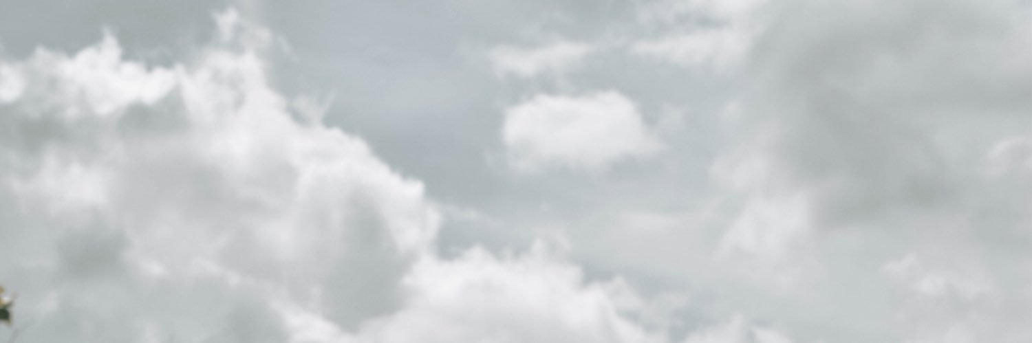 rflrlno's profile banner image