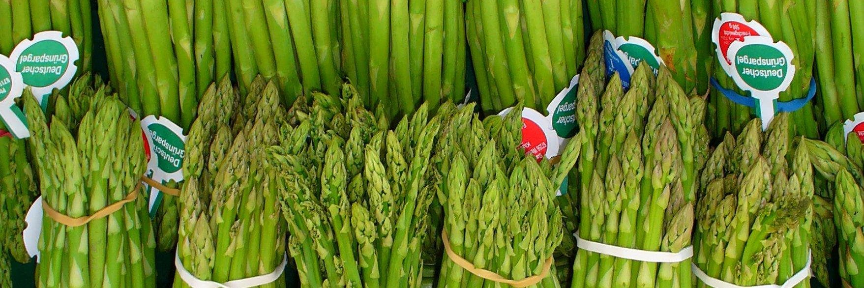 Twitter banner for @Asparagus