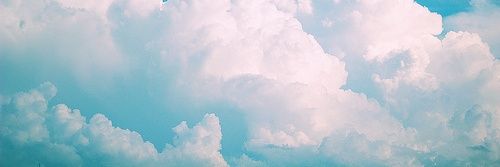 Miss_Cocochito's profile banner image