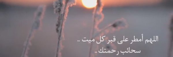 miz55511's profile banner image