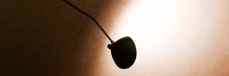 Sandra Ulrich banner