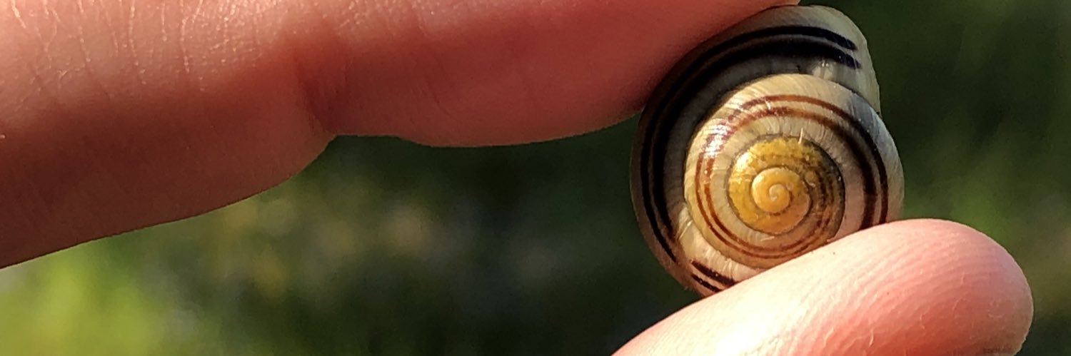 Alexander Krause - @agileChanges@berlin.social banner