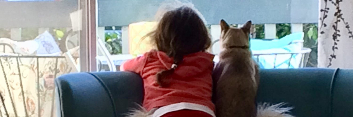 sayinnes's profile banner image