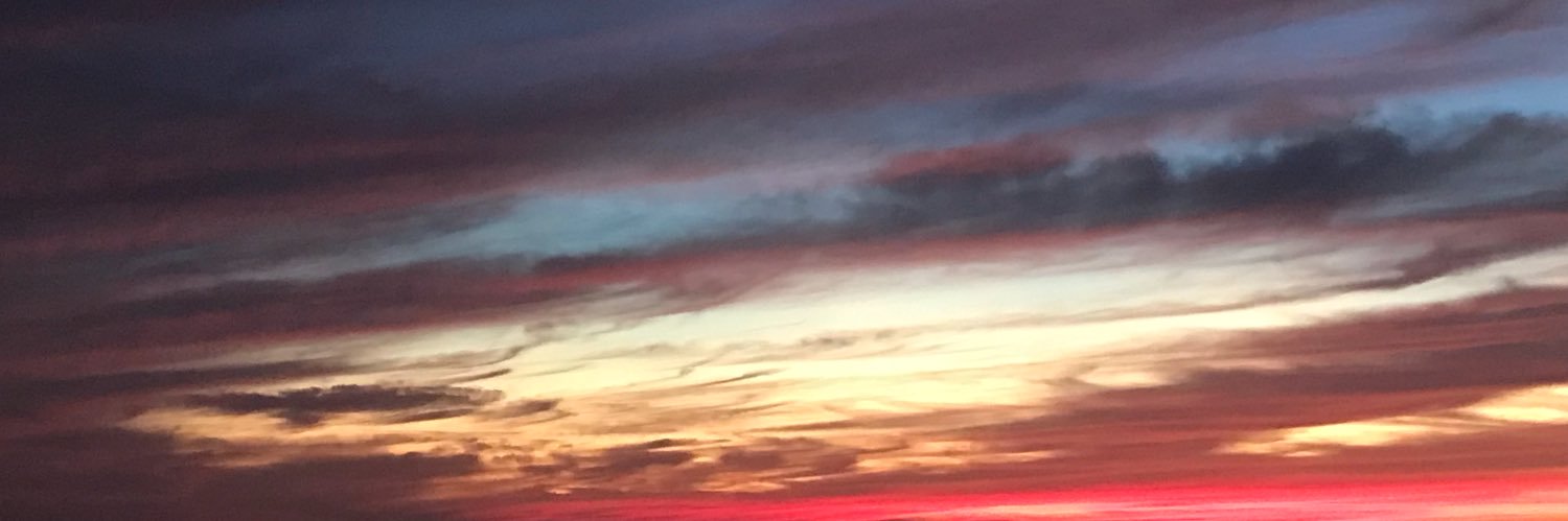 leE Brotherston 🐀 banner