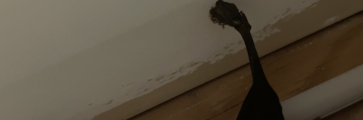 BarterJC's profile banner image