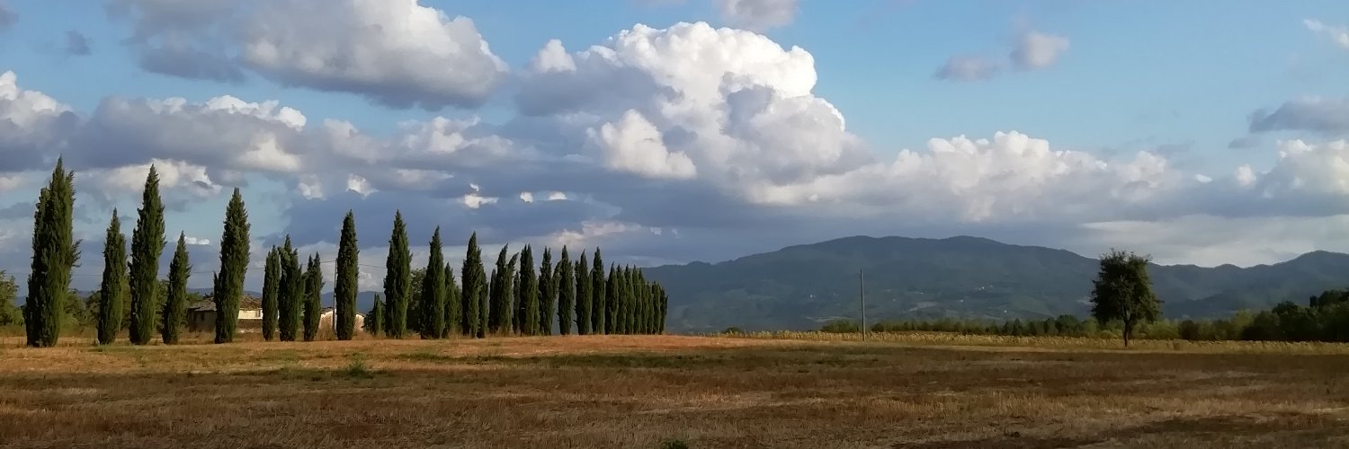 GiuliaZeit's profile banner image
