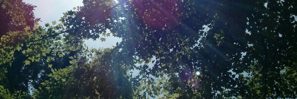 mrtxe_ds Profile Banner