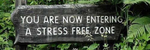freezoneclsd's profile banner image