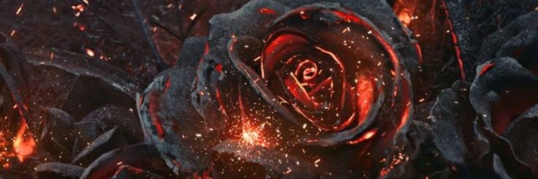 Me4Meli's profile banner image