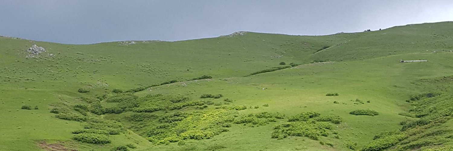 kingysf138's profile banner image