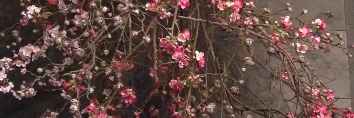 Stephanie Lane banner