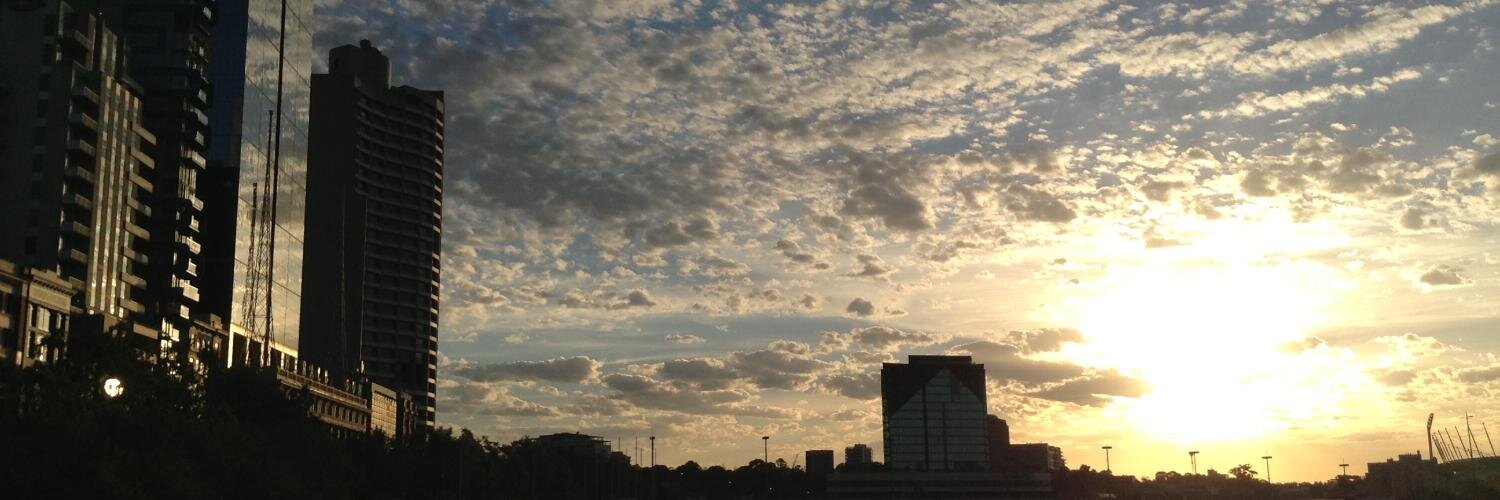 Ryan Smith ⚡❄️,🐻 🐝🍯🍃 🪝 🏴‍☠️ banner