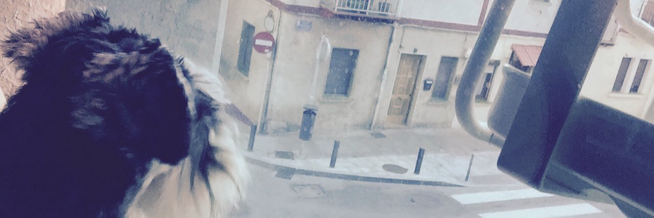 TradNat's profile banner image