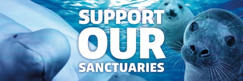 SEA LIFE Trust banner