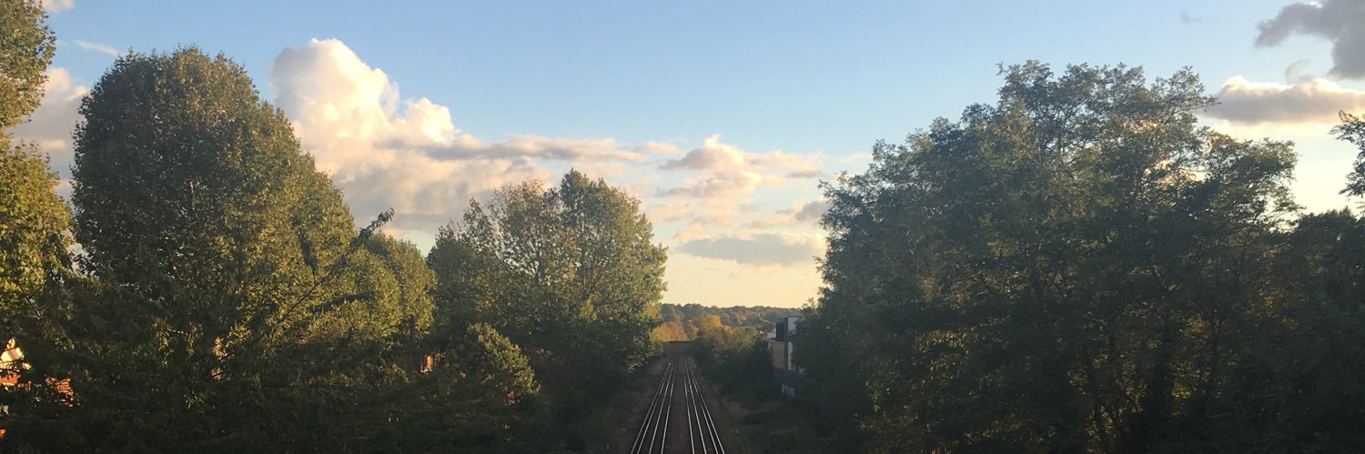 Nicolás Libuy R. banner