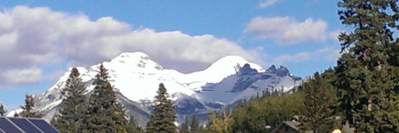 Natasha Tranter banner