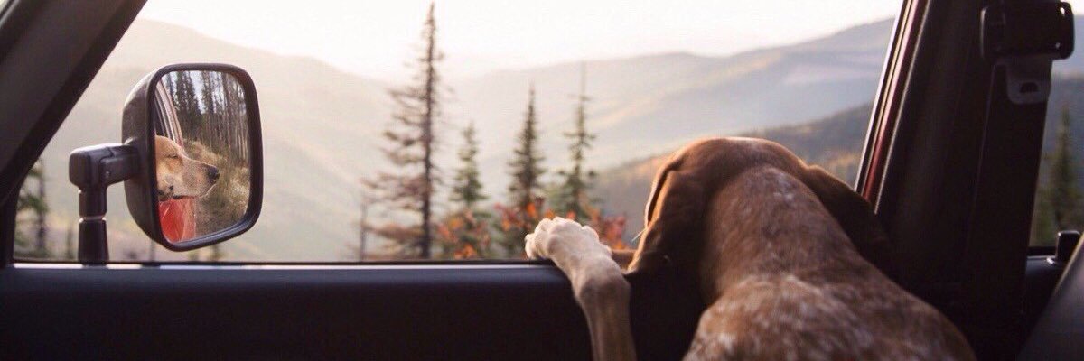 sam_vladgraf's profile banner image