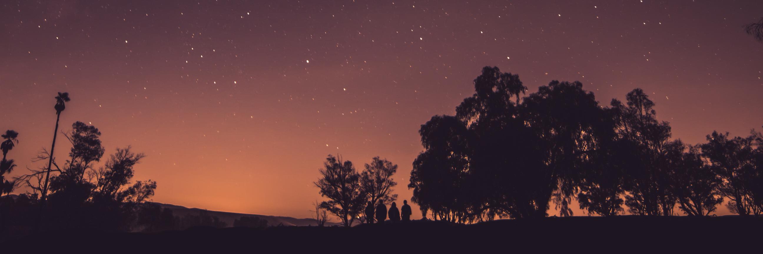 Dominique HAAS banner