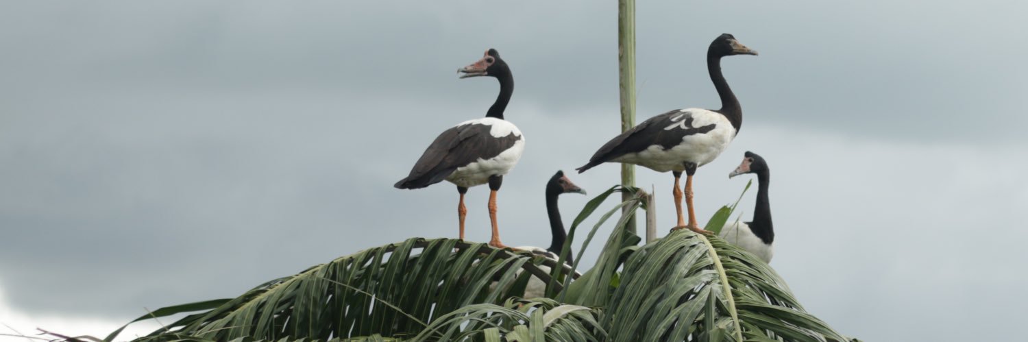 Luke Gosling MP banner