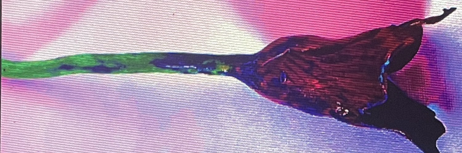 rosewaterwaves's profile banner image