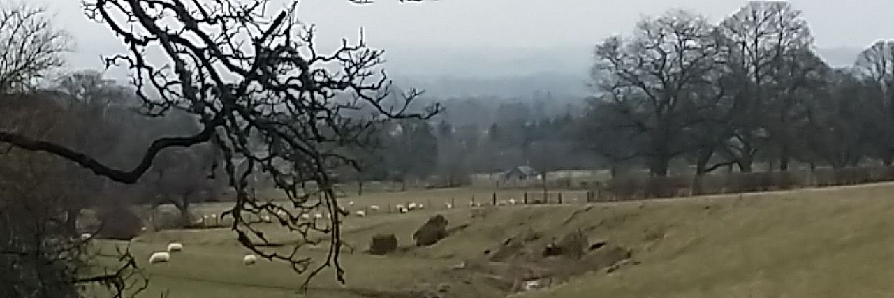 Dave Griffiths banner