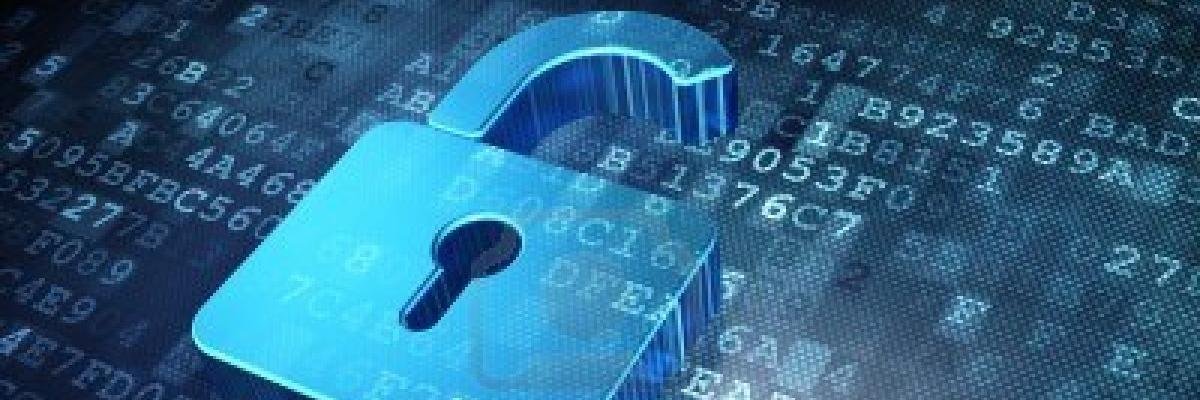 PrivacyPulp banner