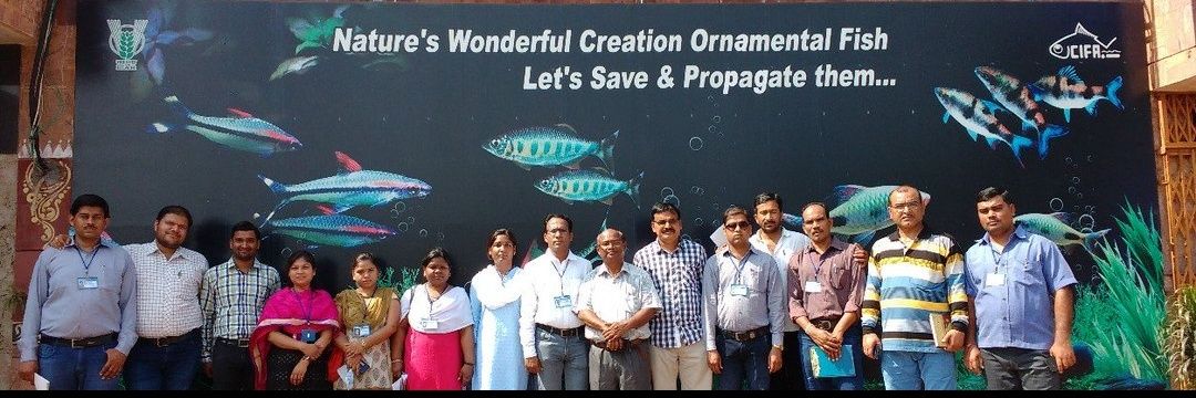 tarunkantpatel's profile banner image