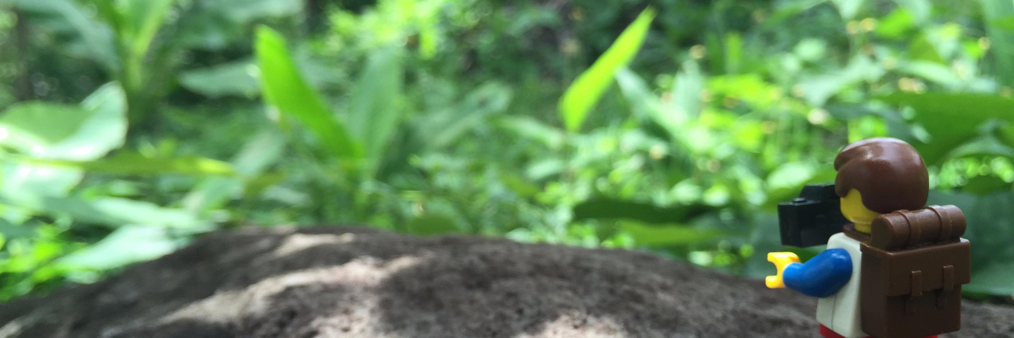 nikcrossman's profile banner image