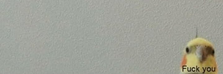Vampry 🦇✨ banner