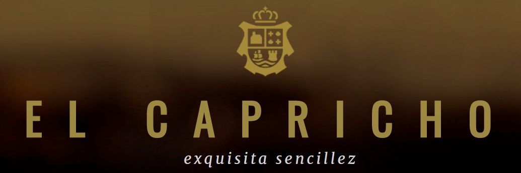 elcaprichoSL's profile banner image