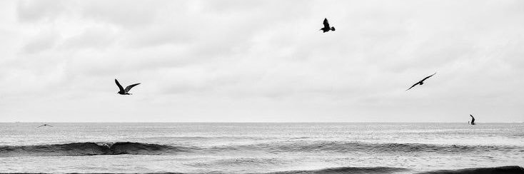 trshkm's profile banner image