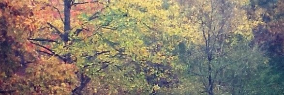 Beth_HFU_AVP's profile banner image