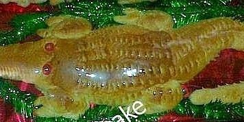 ika_cake's profile banner image