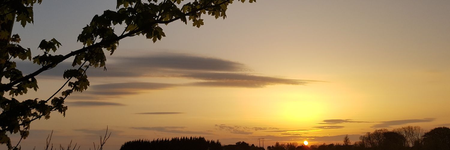 AdamCTuohy's profile banner image
