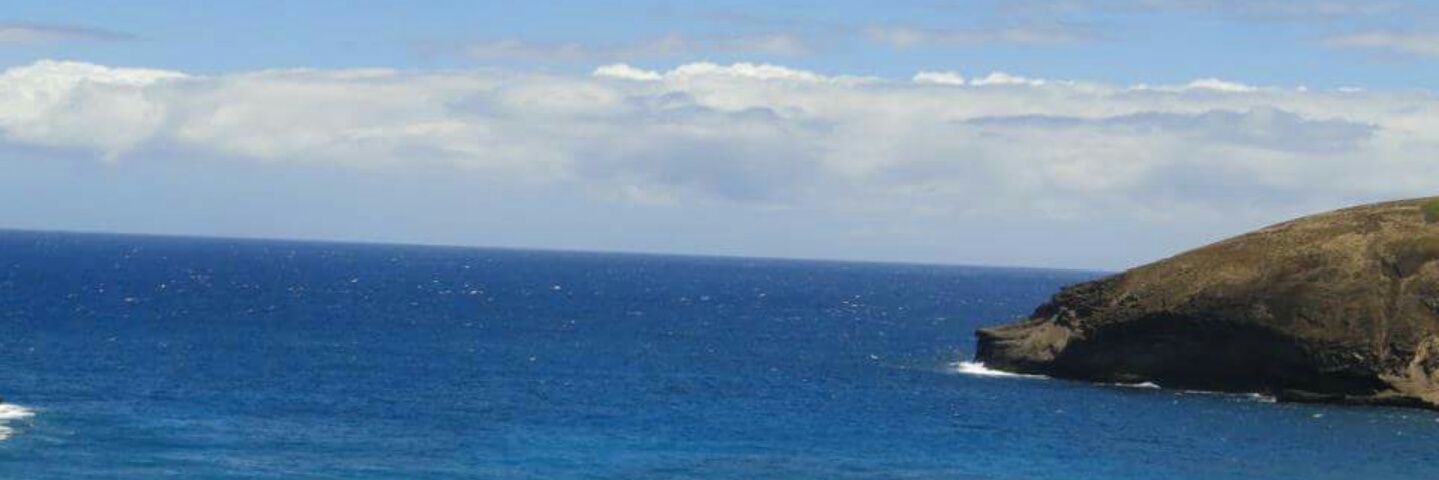 MSmelkinson's profile banner image