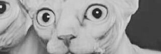 imgt01's profile banner image