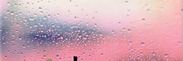 Ward1426's profile banner image
