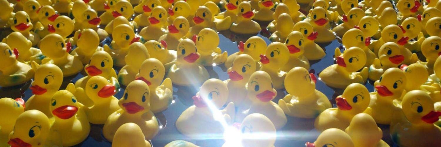 RotaryDuckRaces's profile banner image