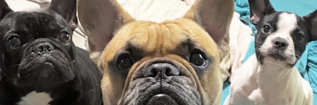 iLLWiLLRican's profile banner image