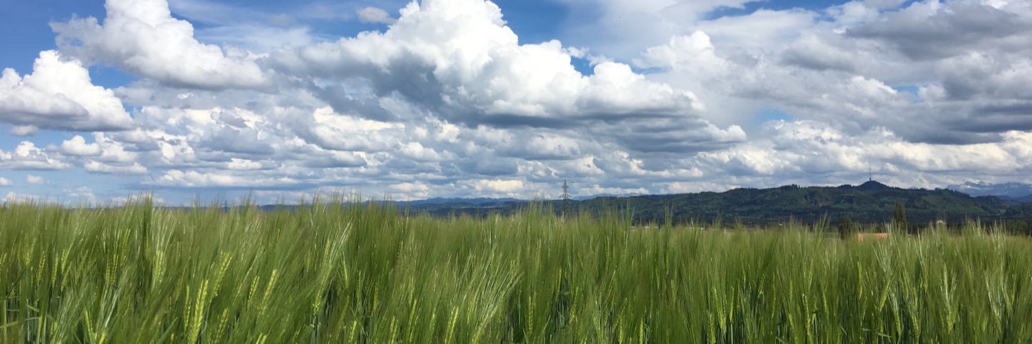 Macanschi's profile banner image