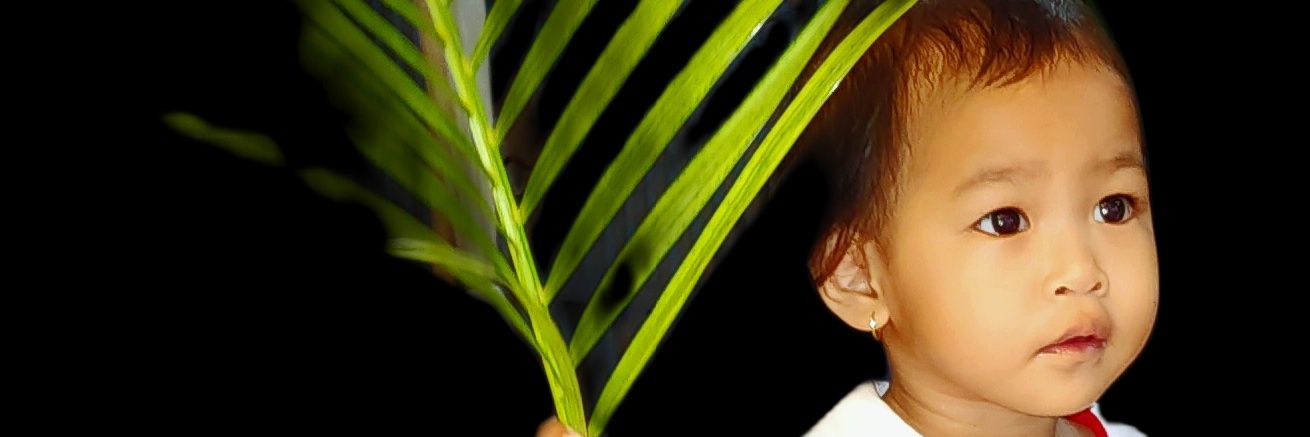 eherdymg's profile banner image